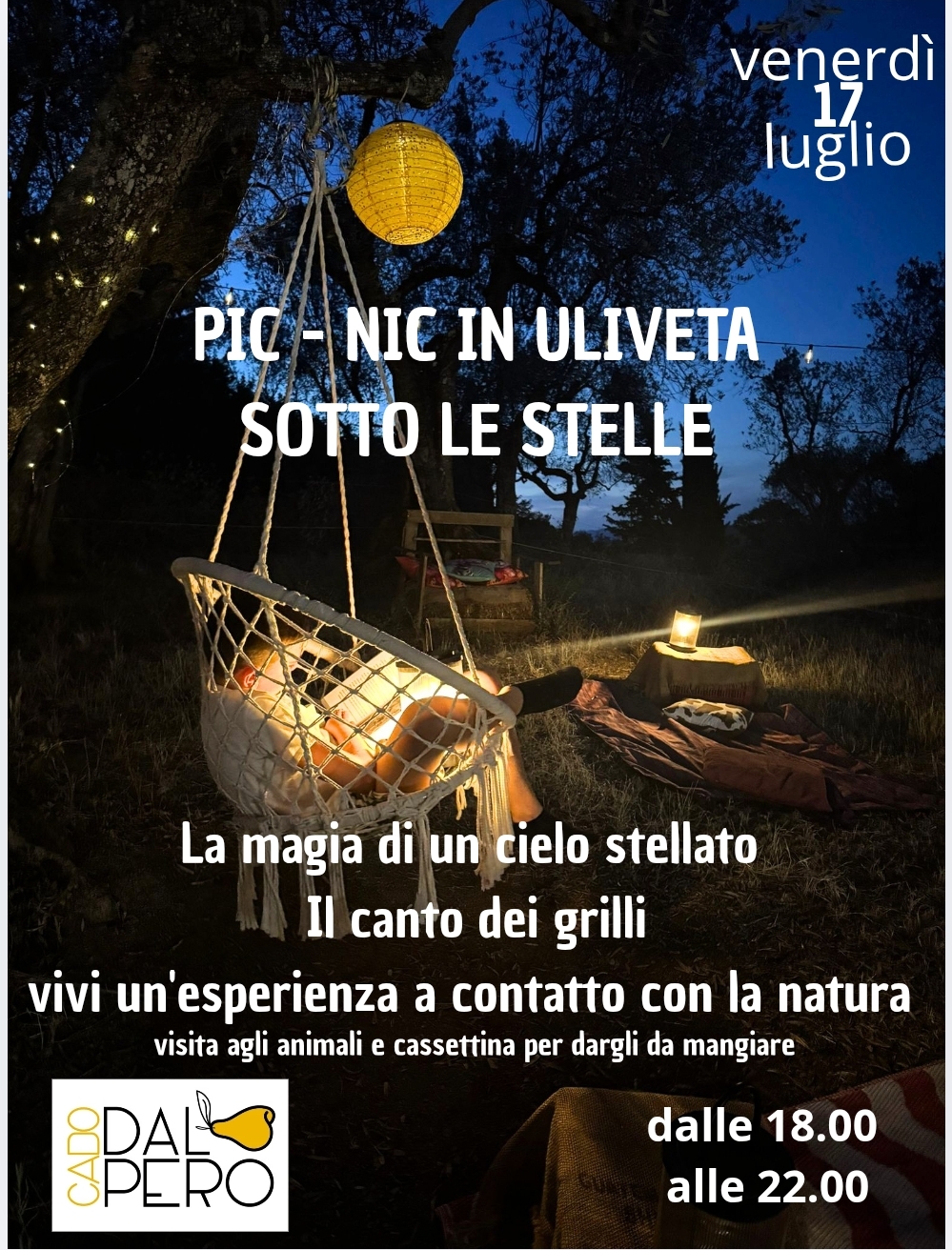 PIC NIC IN ULIVETA SOTTO LE STELLE