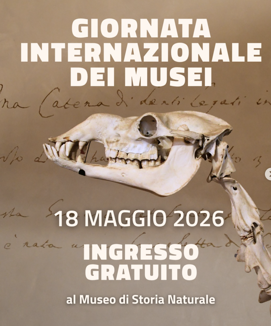 Giornata dei Musei: La Magia della Scienza alla Certosa di Calci