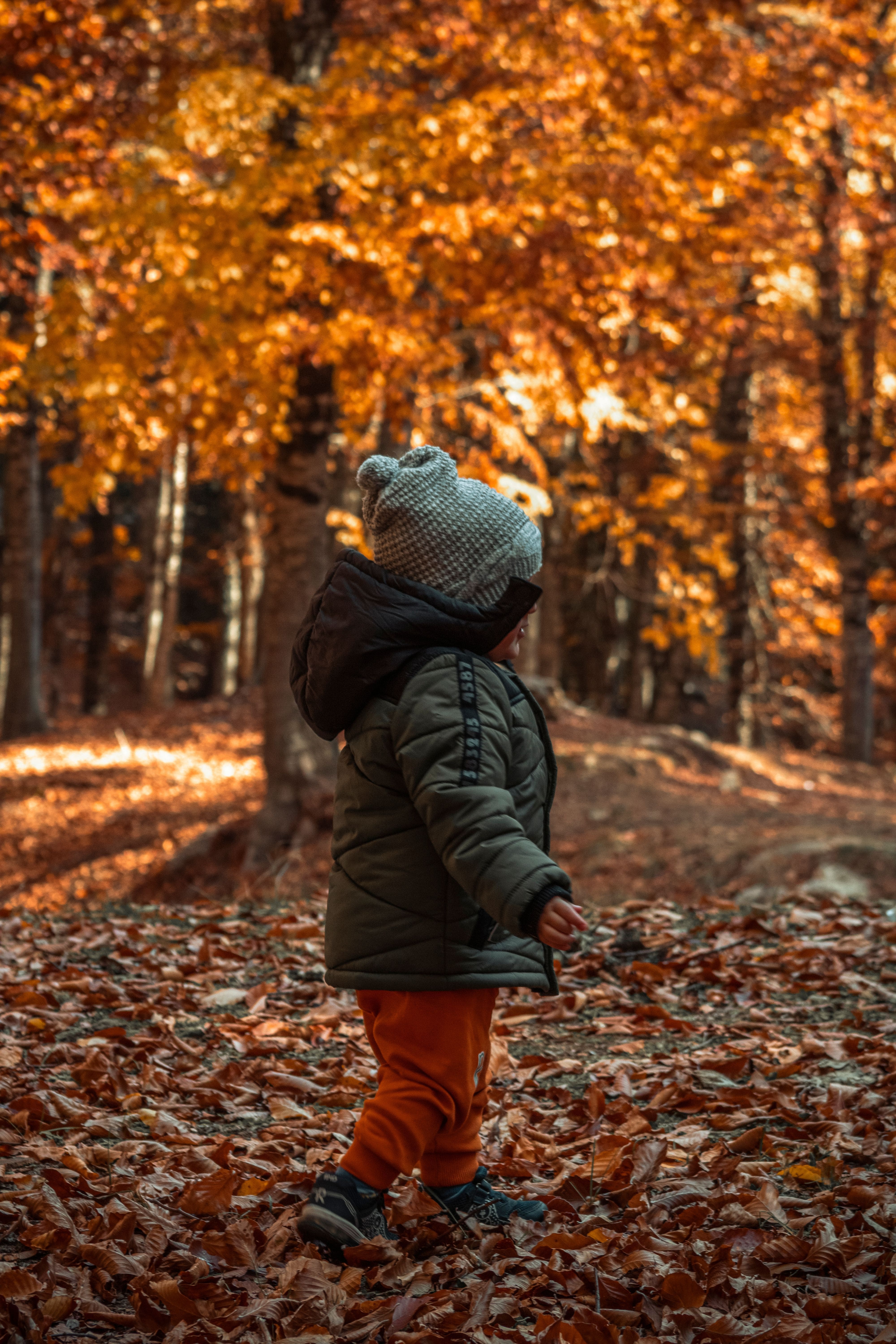 Foliage e Trekking Facili con Bambini in Toscana: Itinerari d'Autunno a Misura di Famiglia